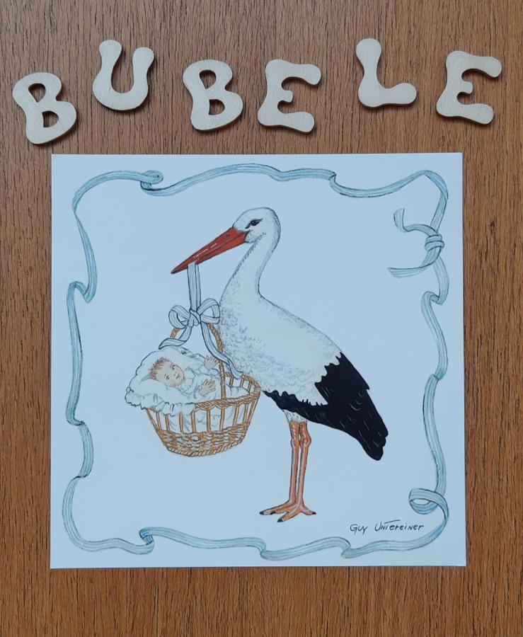 Le BUBELE au coeur du centre médiéval et vignoble Ribeauvillé Exterior foto